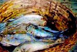 Cesto de Peixes<br>mista sobre mdf - 60 x 80 cm