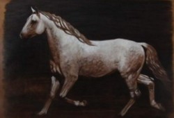 Cavalo Lusitano<br>grafite
