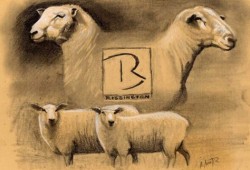 <i>Rissington</i><br>grafite