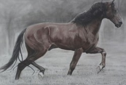 Série Troféus<br>grafite