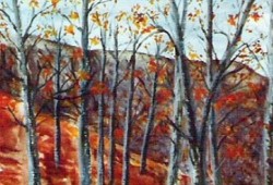 Sem Título XII<br>óleo sobre tela