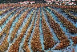 Arroz Tosquiado<br>acrílico e pasta de relevo sobre tela - 70 x 70 cm