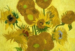 Doze Girassóis numa Jarra